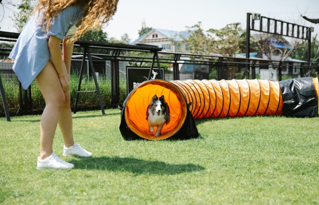 Izrada web stranice za agility klub